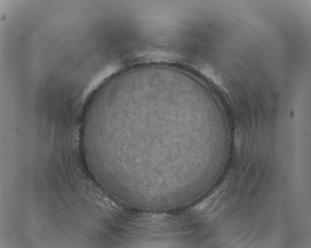 X0000088391309200706121200