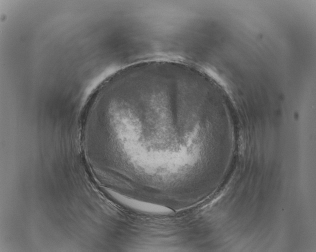 X0000088391310200706121200