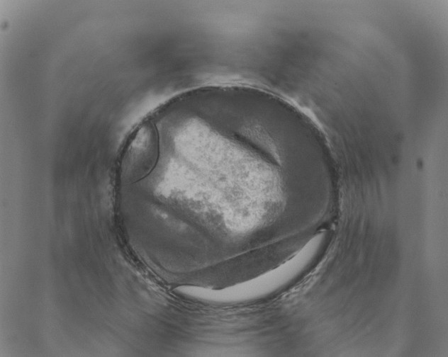 X0000088391311200706121200