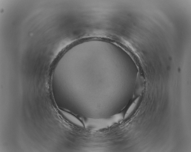 X0000088391312200706121200