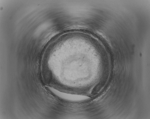 X0000088391313200706121200