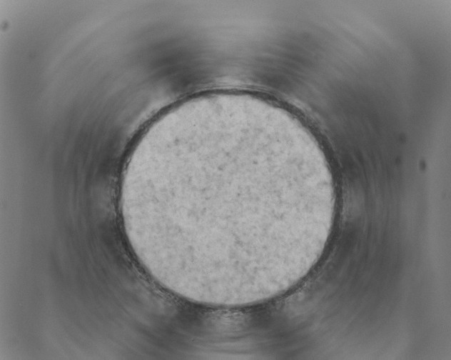 X0000088391314200706121200