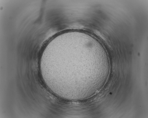 X0000088391315200706121200