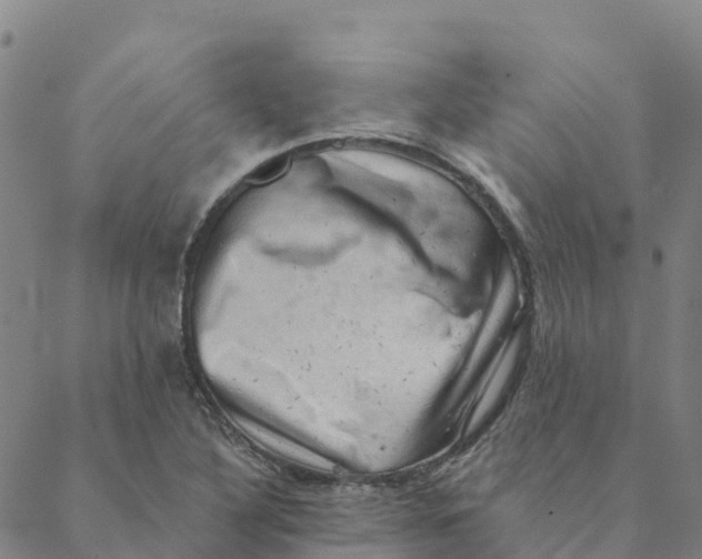 X0000088391316200706121200