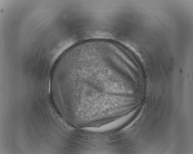 X0000088391317200706121200