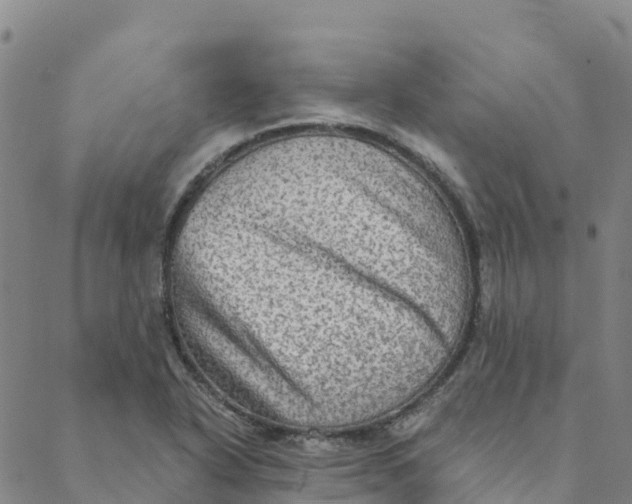 X0000088391318200706121200