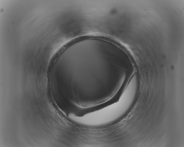 X0000088391319200706121200