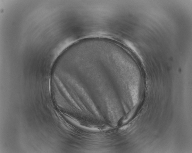 X0000088391320200706121200