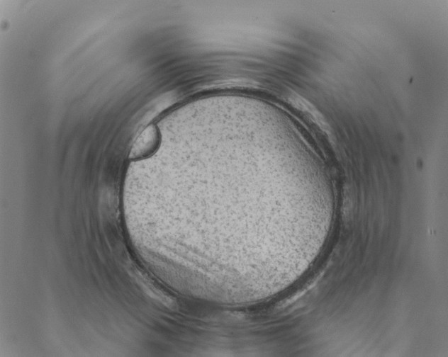 X0000088391321200706121200