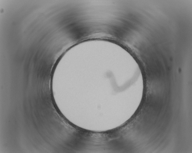 X0000088391322200706121200