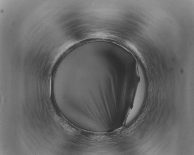 X0000088391323200706121200