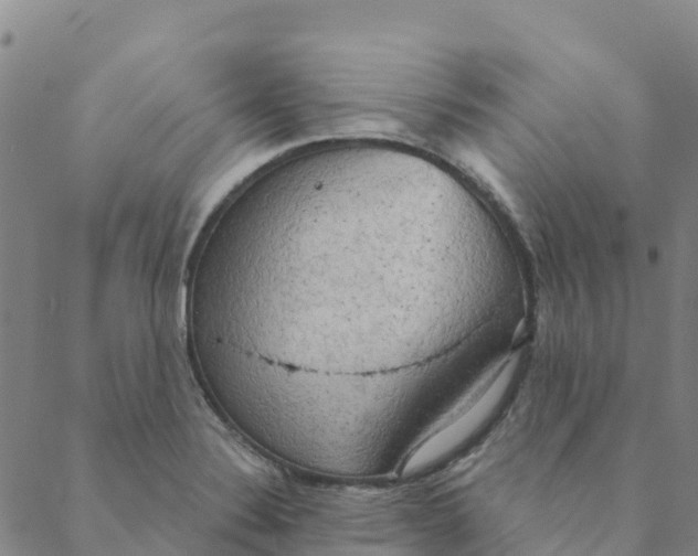 X0000088391324200706121200