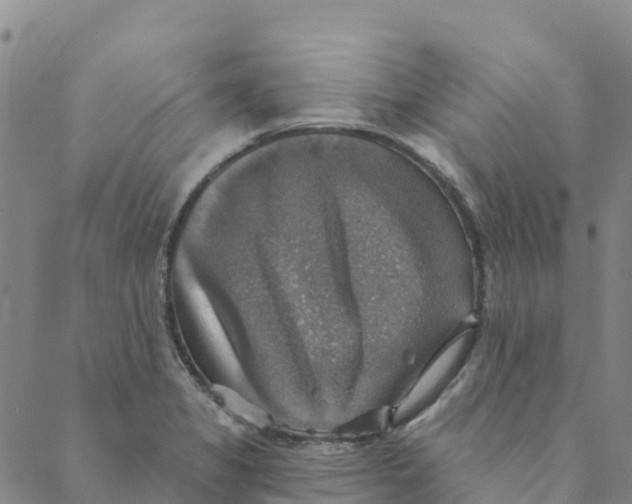 X0000088391325200706121200