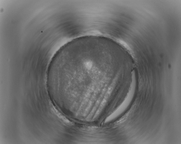 X0000088391326200706121200