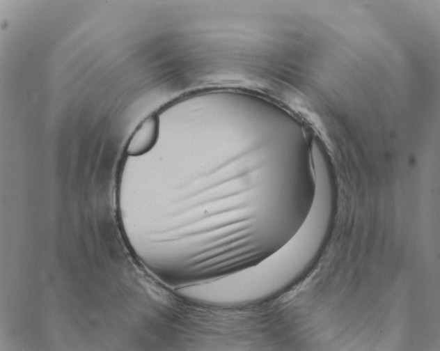 X0000088391328200706121200