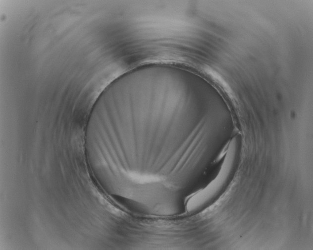 X0000088391329200706121200