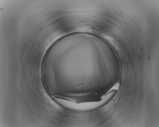 X0000088391331200706121200