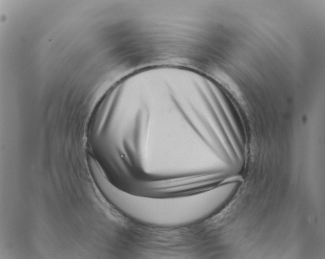 X0000088391332200706121200