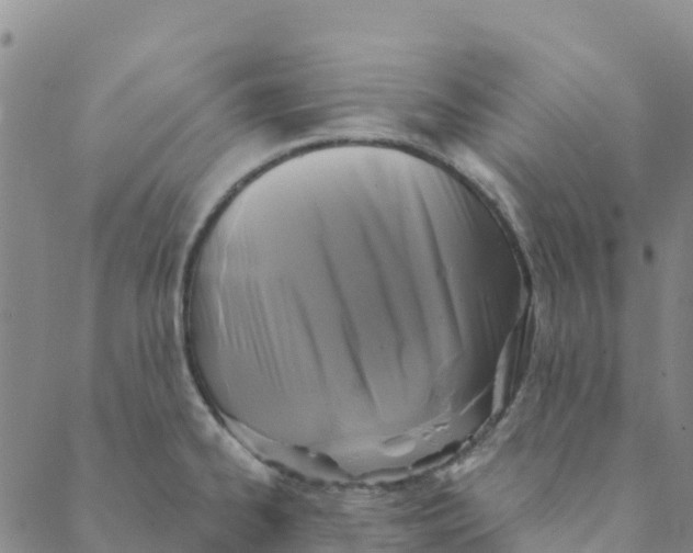 X0000088391334200706121200