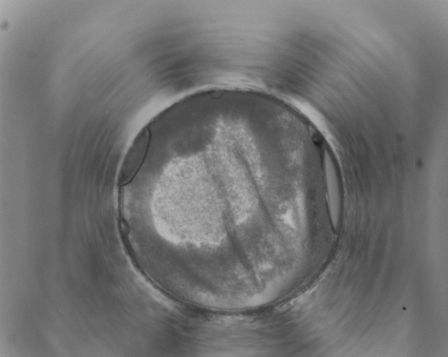 X0000088391335200706121200