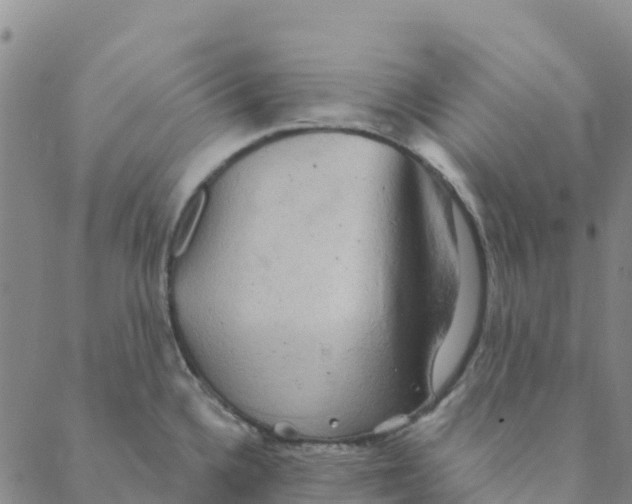 X0000088391336200706121200