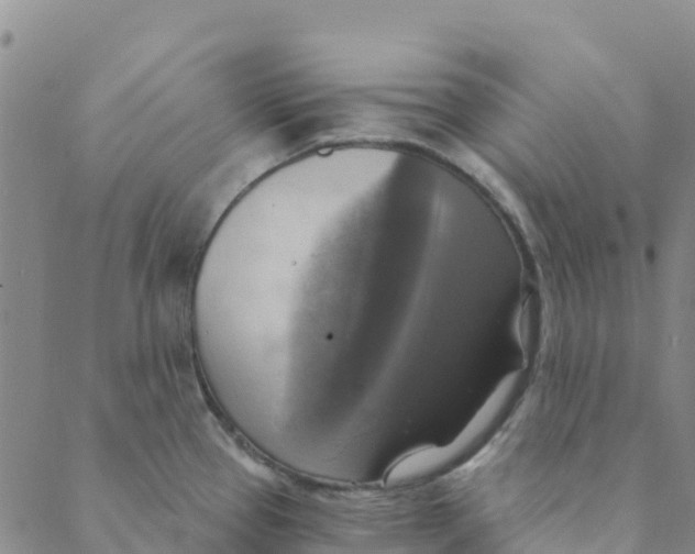 X0000088391337200706121200