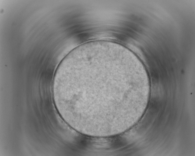 X0000088391338200706121200