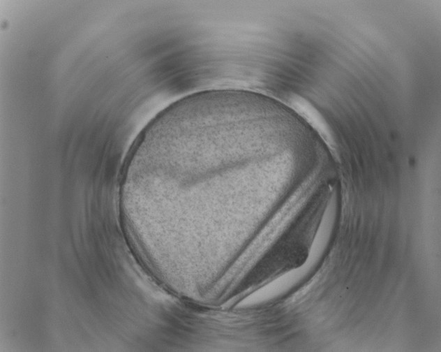 X0000088391340200706121200