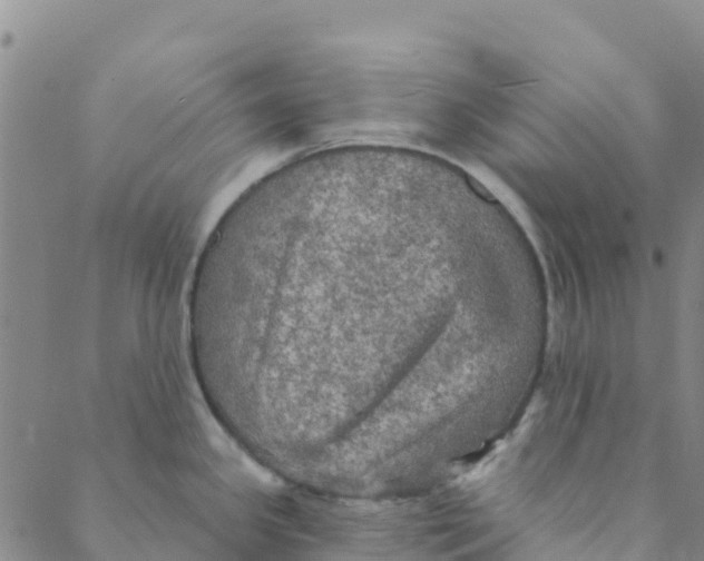 X0000088391341200706121200