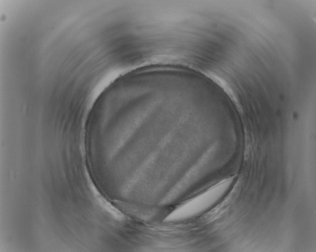 X0000088391342200706121200