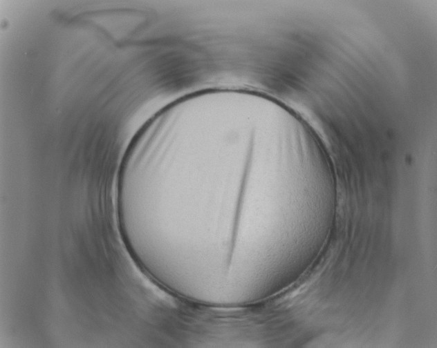 X0000088391343200706121200