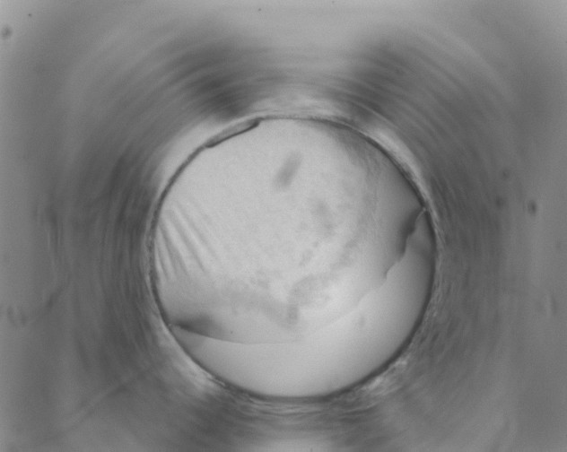 X0000088391344200706121200