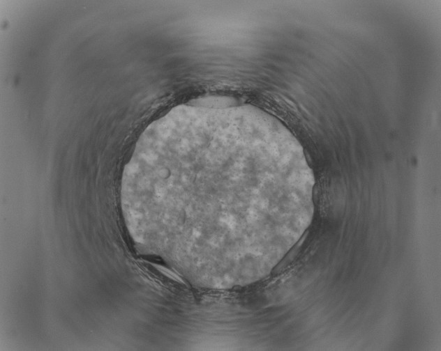 X0000088391345200706121200