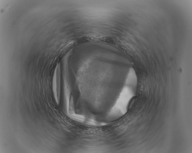 X0000088391346200706121200