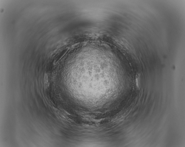 X0000088391347200706121200