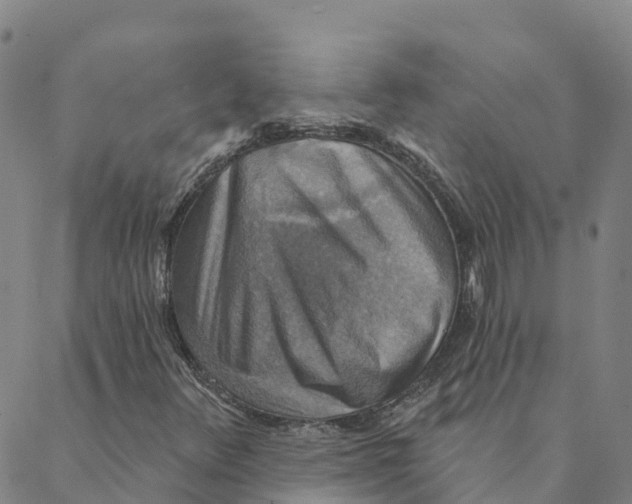 X0000088391348200706121200