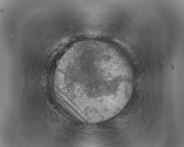 X0000088391349200706121200