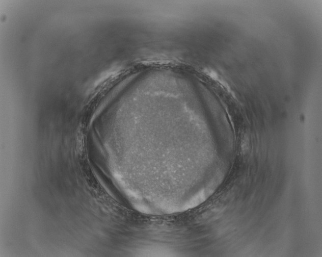 X0000088391350200706121200