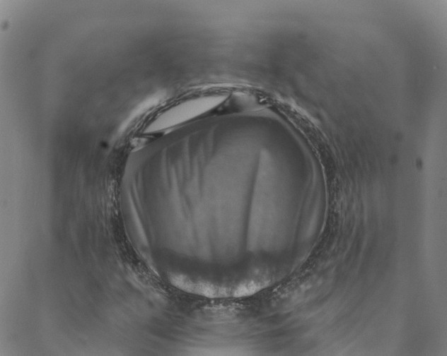 X0000088391351200706121200