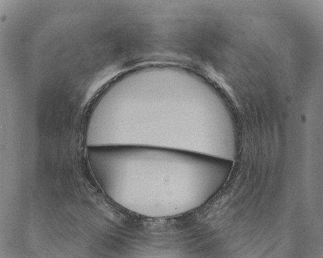 X0000088391352200706121159