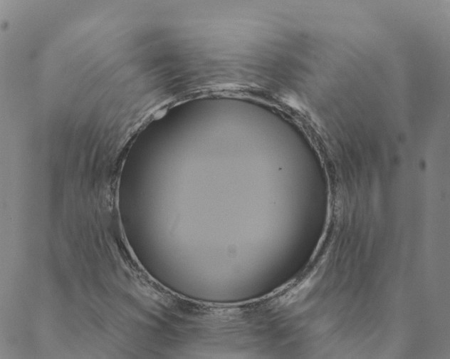 X0000088391353200706121159