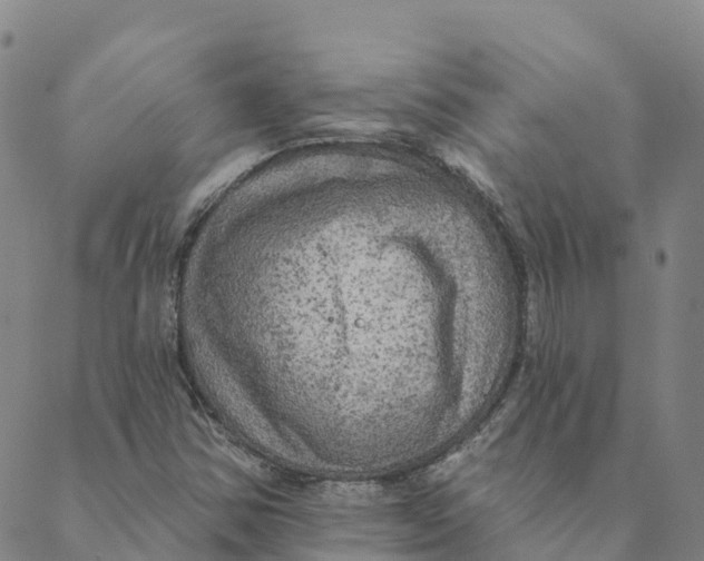 X0000088391354200706121159