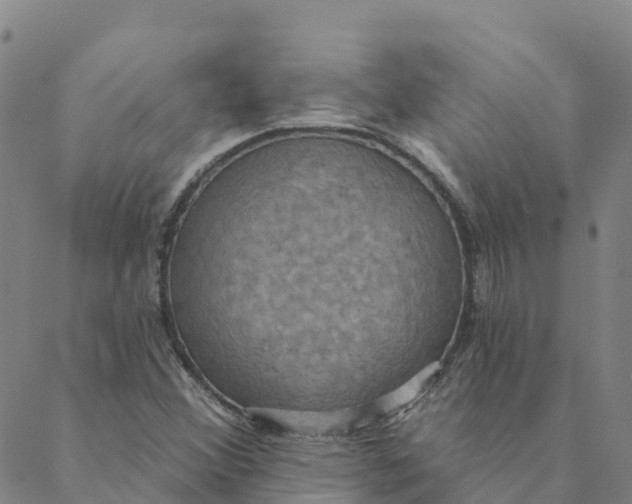 X0000088391356200706121159