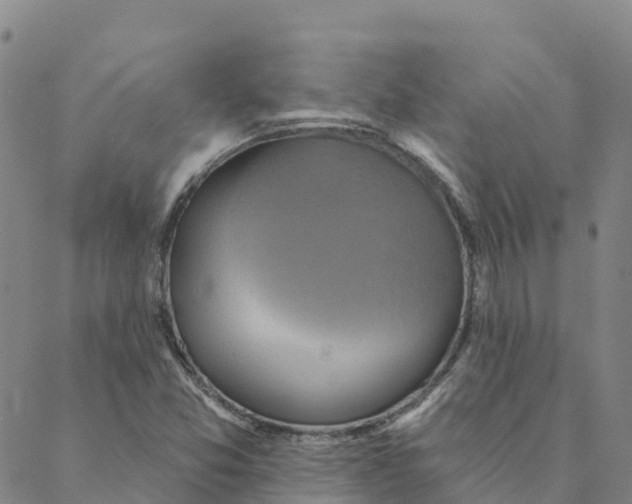 X0000088391357200706121159