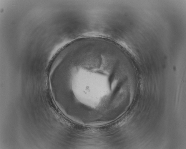 X0000088391358200706121159