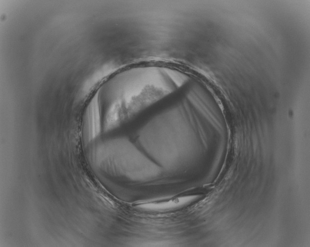 X0000088391359200706121159