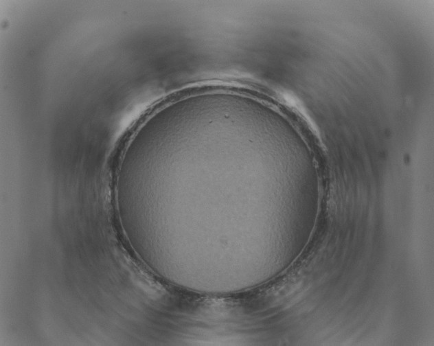 X0000088391360200706121159