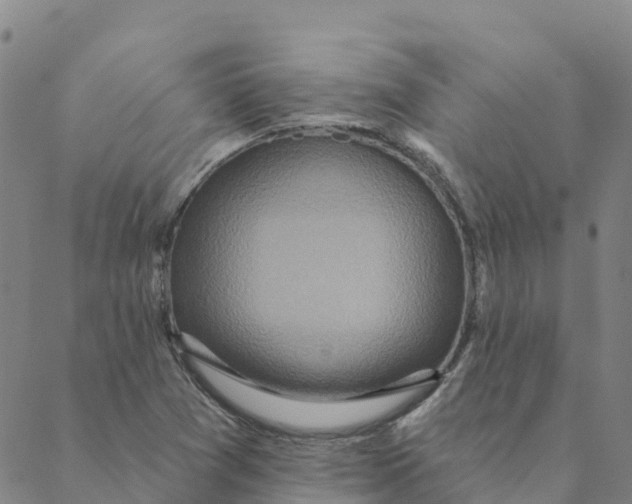 X0000088391361200706121159