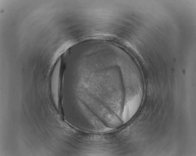 X0000088391362200706121159