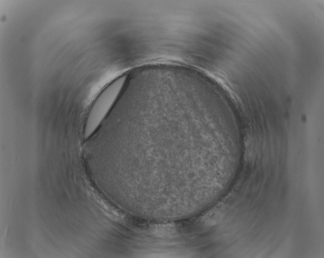 X0000088391363200706121159